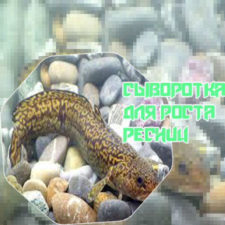 Помогло ли средство для роста ресниц отзывы